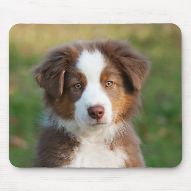 Cute Australian Shepherd puppy Mouse Pad (Front)