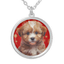 Cute Australian Shepherd Round