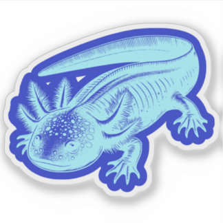  Cute Axolotl New Designs Ocean Blue Vinyl 