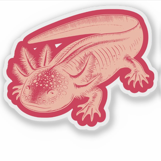  Cute Axolotl New Designs Vinyl  (Front)