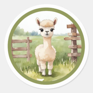Cute Baby Alpaca Stickers