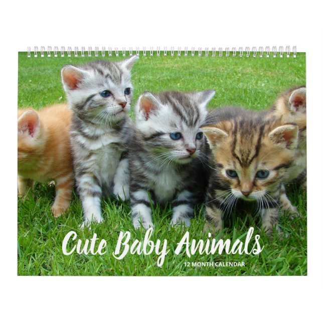 Cute Baby Animals Calendar (Cover)