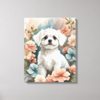 Cute Baby Animals | Cute White Maltese Puppy