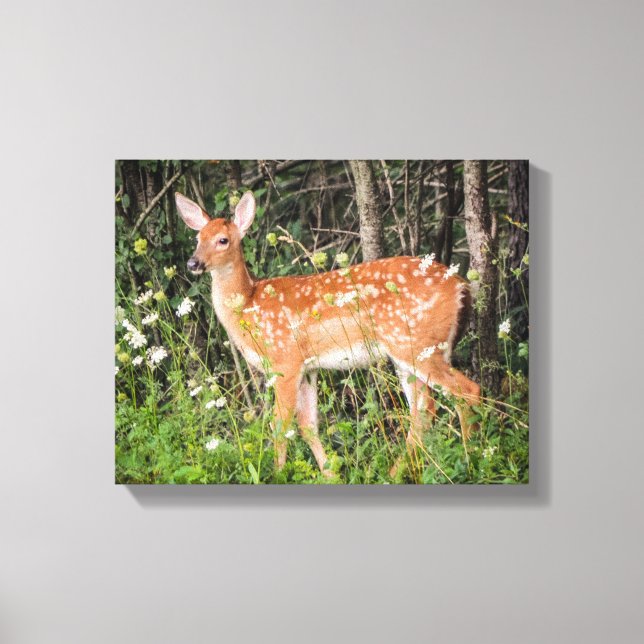 Cute Baby Animals Fawn Deer Canvas Print (Front)