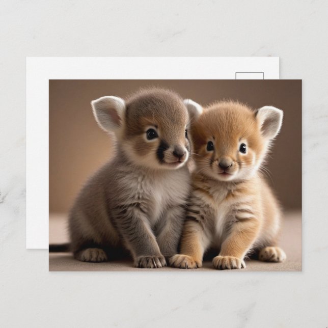 Cute Baby Animals, Postcrossing Postcard (Front/Back)