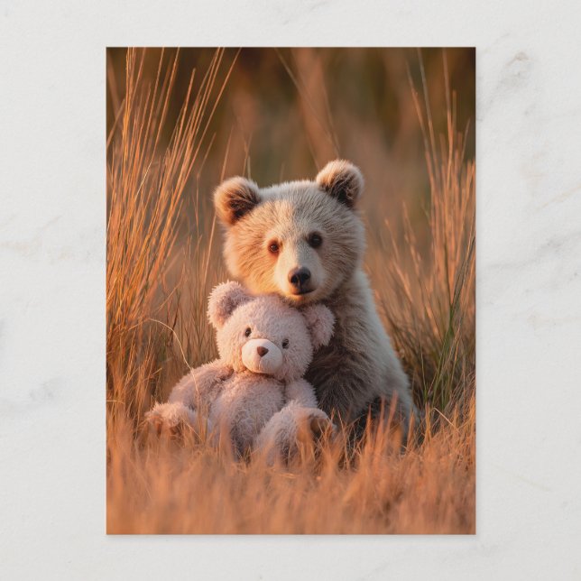 Cute Baby Bear Cub Hugging a Teddy Bear Postcard (Front)