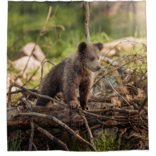 Cute Baby Bear in Woods Shower Curtain