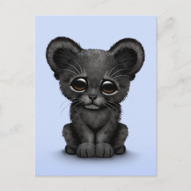 Cute Baby Black Panther Cub on Blue Postcard (Front)