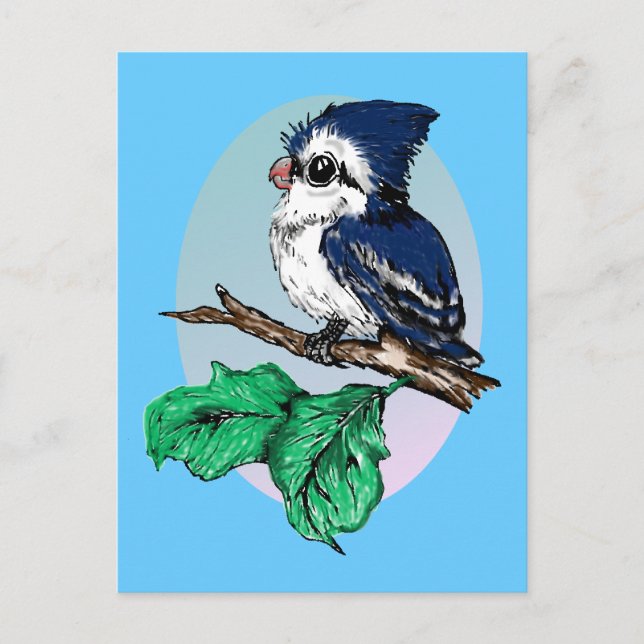 Cute Baby Bluejay Postcard (Front)