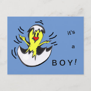 Cute Baby BOY Chick Cartoon Postcard