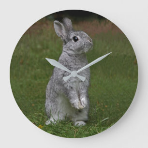Cute Baby Bunny Clock