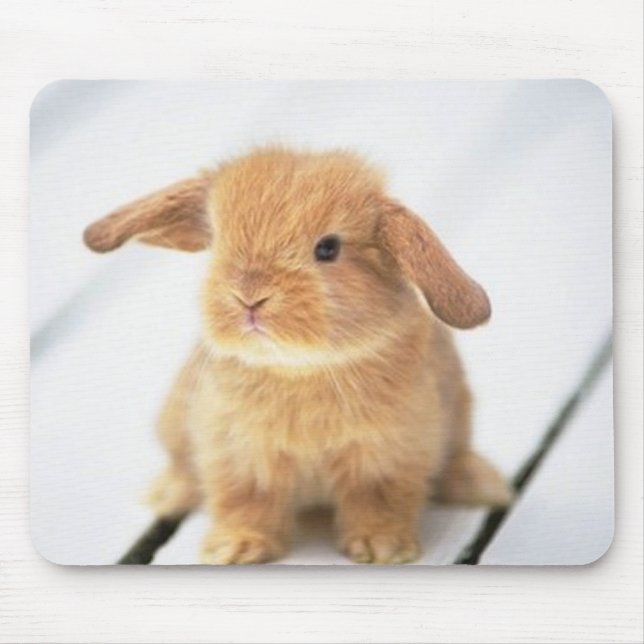 Cute Baby Bunny Happy Easter Design Mouse Pad (Front)