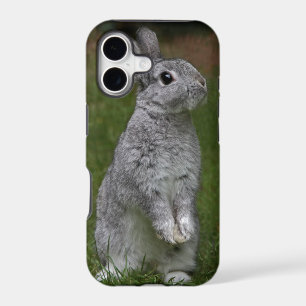 Cute Baby Bunny iPhone 5 Case