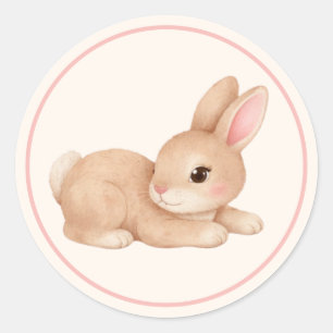 Cute Baby Bunny Rabbit Pink Cheeks Classic Round Sticker