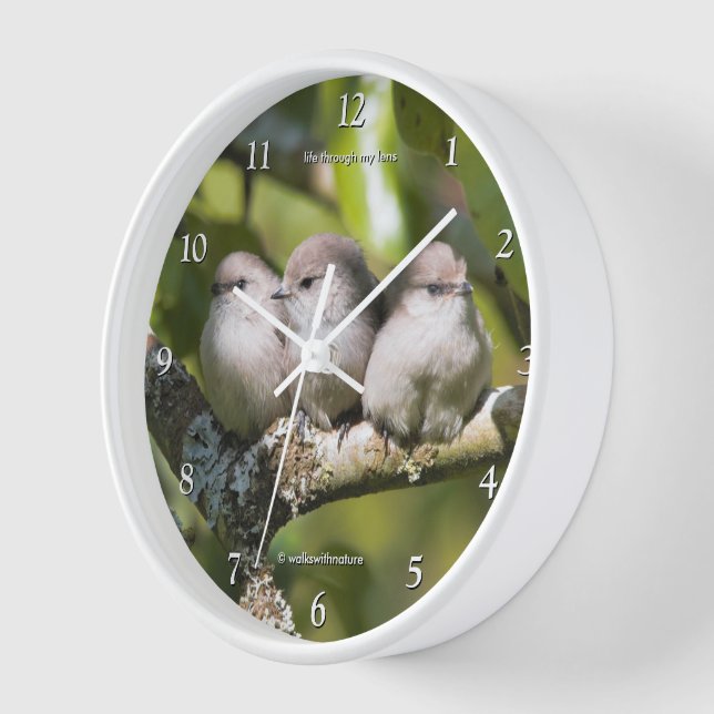 Cute Baby Bushtit Songbirds in the Pear Tree Clock (Angle)