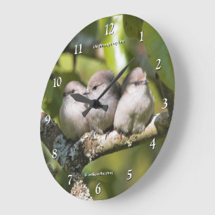 Cute Baby Bushtit Songbirds in the Pear Tree Large Clock