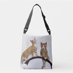 Cute Baby Cat Kitten Funny Gym Photo on Crossbody Bag