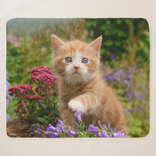 Cute Baby Cat Kitten Playing Animal Photo Head -- Sherpa Blanket