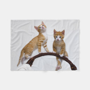 Cute Baby Cats Kittens Funny Gym Photo - Fleece Blanket