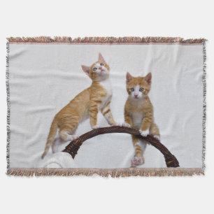 Cute Baby Cats Kittens Funny Gym Photo - Throw Blanket