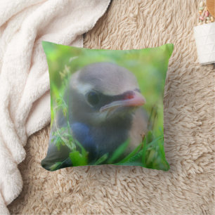 Cute Baby Cedar Waxwing Bird  Cushion