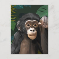 Cute Baby Chimpanzee Tropical Jungle leaves