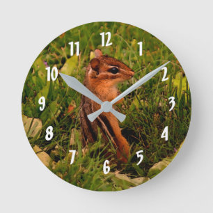 Cute Baby Chipmunk Animal Art Round Clock