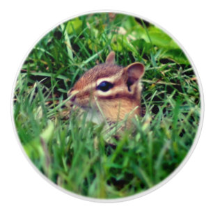Cute Baby Chipmunk Peeking Wildlife   Ceramic Knob