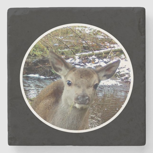 Cute Baby Deer Fawn Adorable Woodland Nature Pose  Stone Coaster (Front)