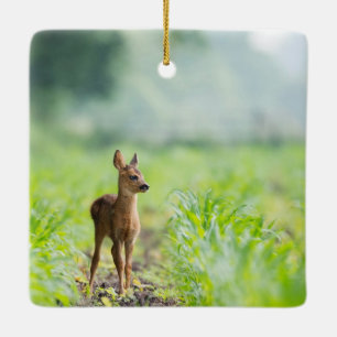 Cute Baby Deer Fawn in Grass Nature Photography Ceramic Ornament