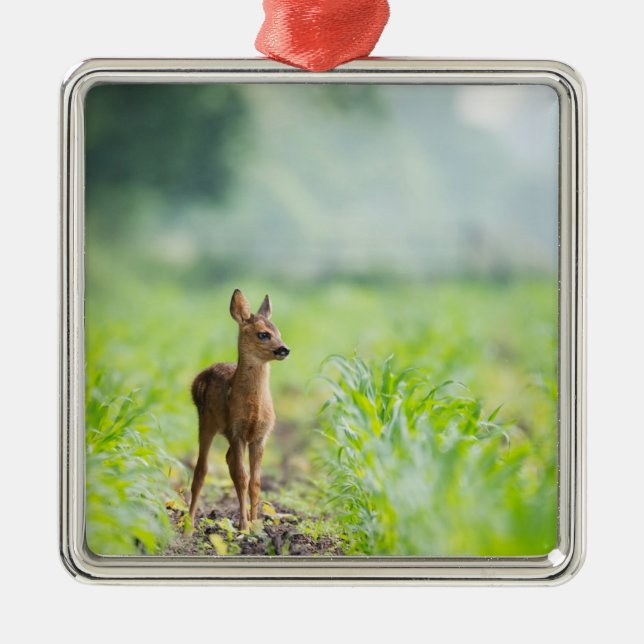 Cute Baby Deer Fawn in Grass Nature Photography Metal Tree Decoration (Front)