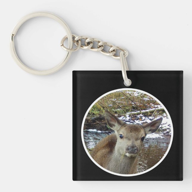 Cute Baby Deer Poses for the Camera Key Ring (Front)