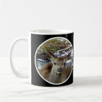 Cute Baby Deer Poses for the Camera Mug