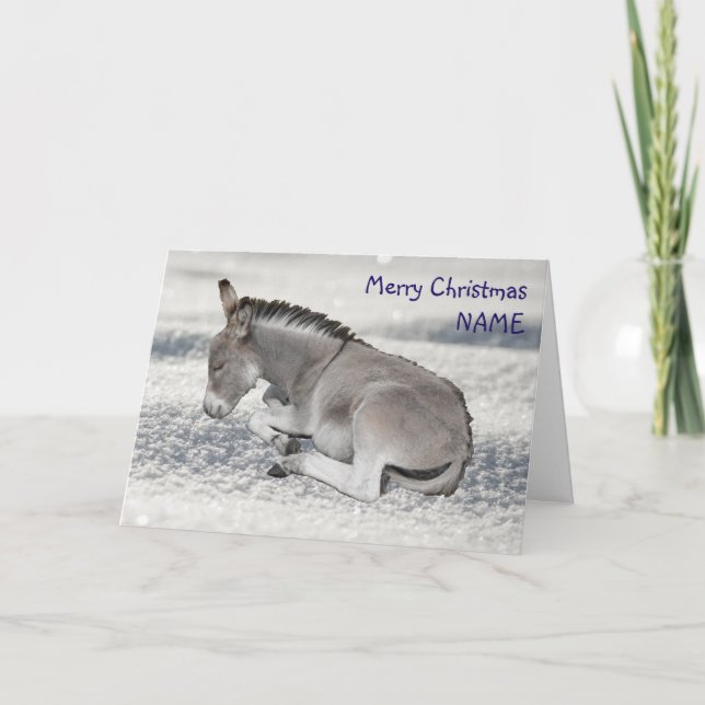Cute Baby Donkey on Snow Christmas Holiday Card (Front)
