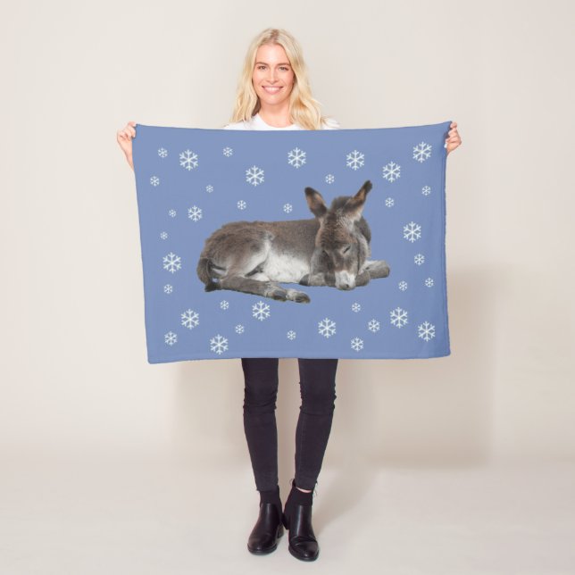 Cute baby donkey with snowflakes on blue fleece blanket (In Situ)