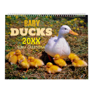 Cute Baby Ducks 2027 Wall Calendar