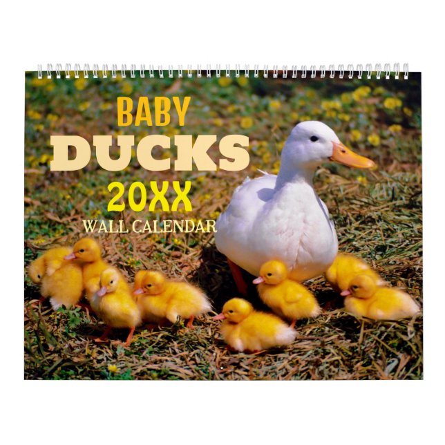 Cute Baby Ducks 2027 Wall Calendar (Cover)