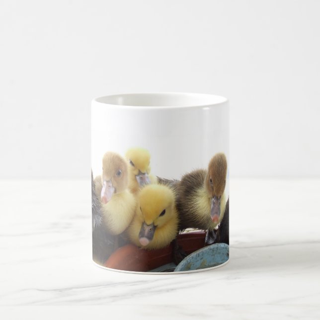 Cute Baby Ducks Coffee Mug (Center)