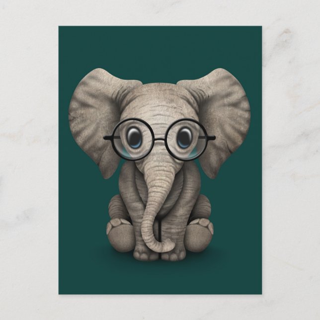 Cute Baby Elephant with Reading Glasses Teal Postcard (Front)