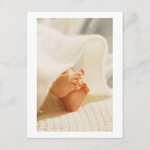 Cute Baby Feet Little Baby Feet Wrapped Blanket Po Postcard