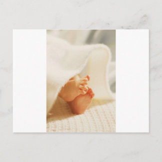 Cute Baby Feet Little Baby Feet Wrapped Blanket Postcard