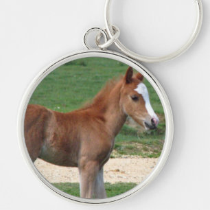 Cute Baby Foal Destiny Gifts Springtime Adorable Key Ring
