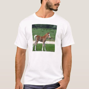 Cute Baby Foal Destiny Gifts Springtime Adorable T-Shirt