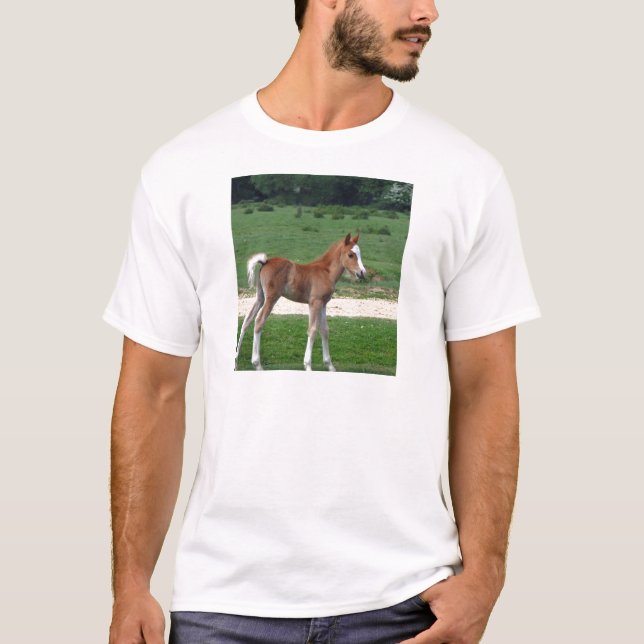 Cute Baby Foal Destiny Gifts Springtime Adorable T-Shirt (Front)