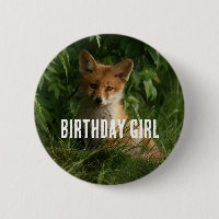 Cute Baby Fox in a Green Forest