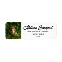 Cute Baby Fox in a Green Forest Address