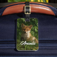 Cute Baby Fox in a Green Forest