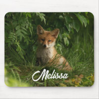 Cute Baby Fox in a Green Forest