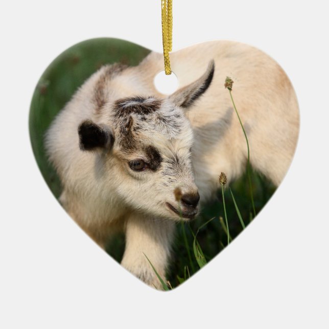Cute Baby Goat Ceramic Tree Decoration (Front)
