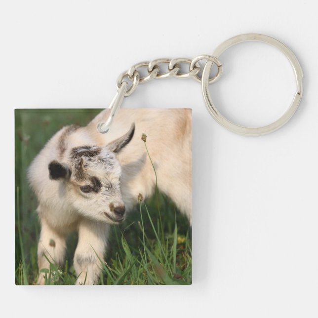 Cute Baby Goat Key Ring (Back)